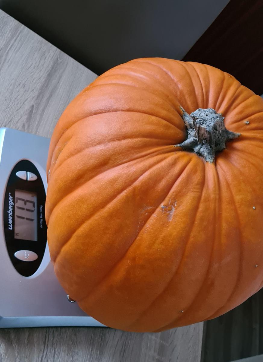20211027 163955