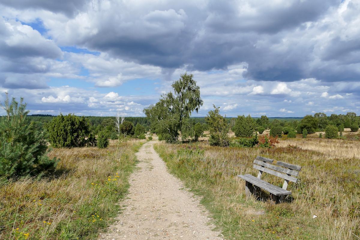 Wilseder-Berg-auf-dem-Weg-zum-Wilseder-B