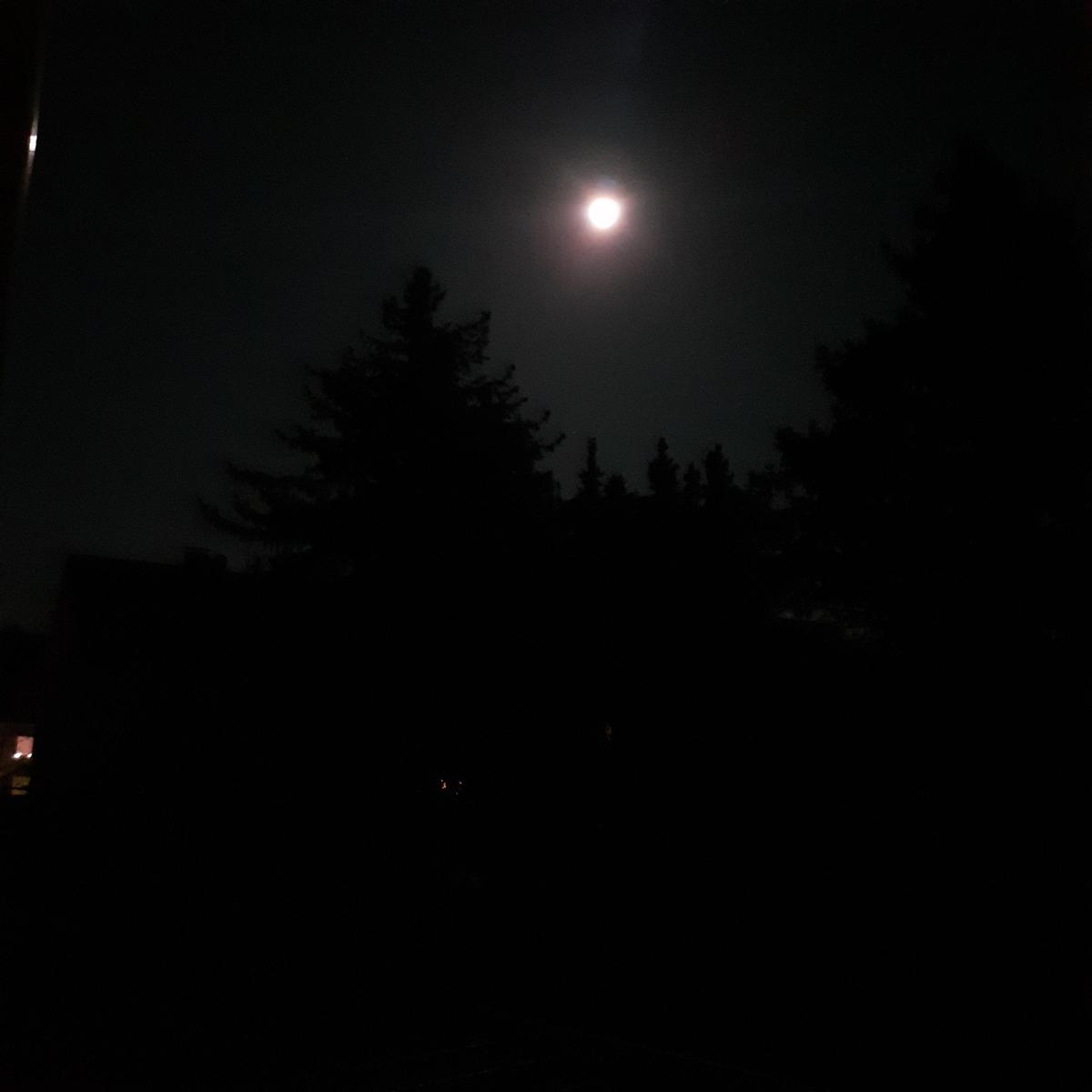 20200407 231115