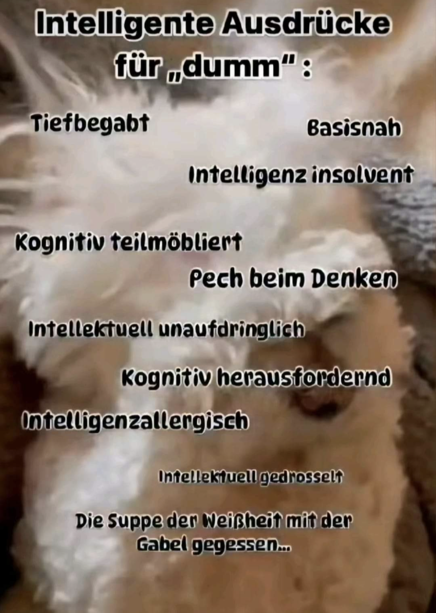 Screenshot 20240611-220453