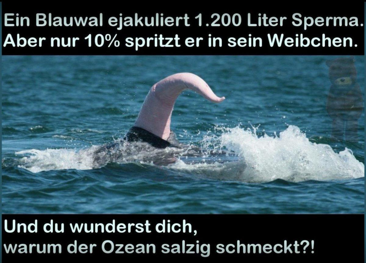 Liter Sperma Blauwal - Copy