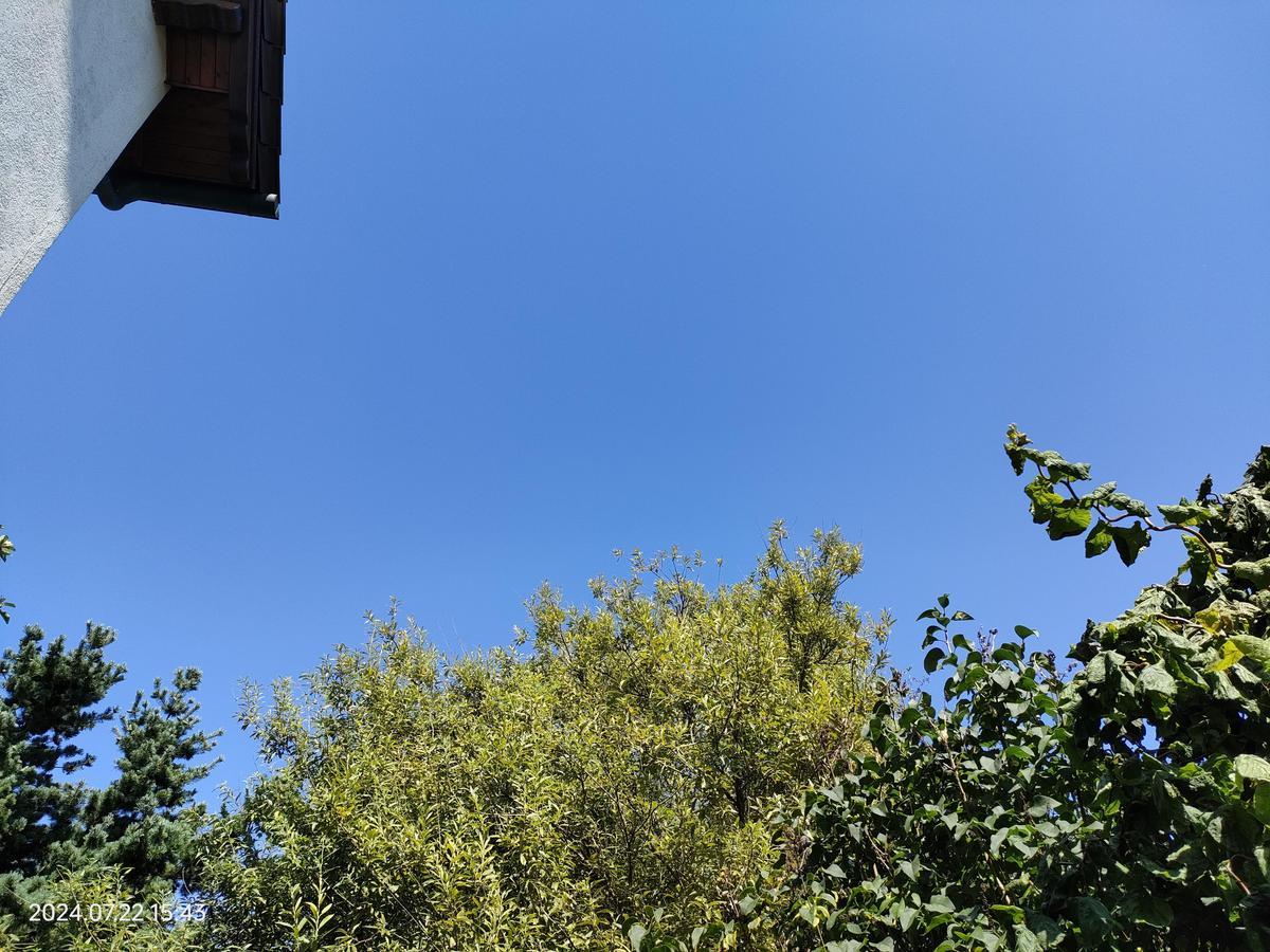 IMG20240722154319