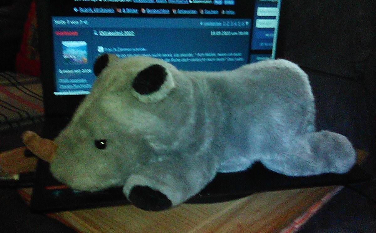nashorn