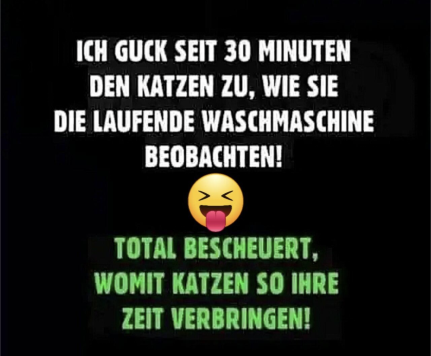 Screenshot 20230930-163305