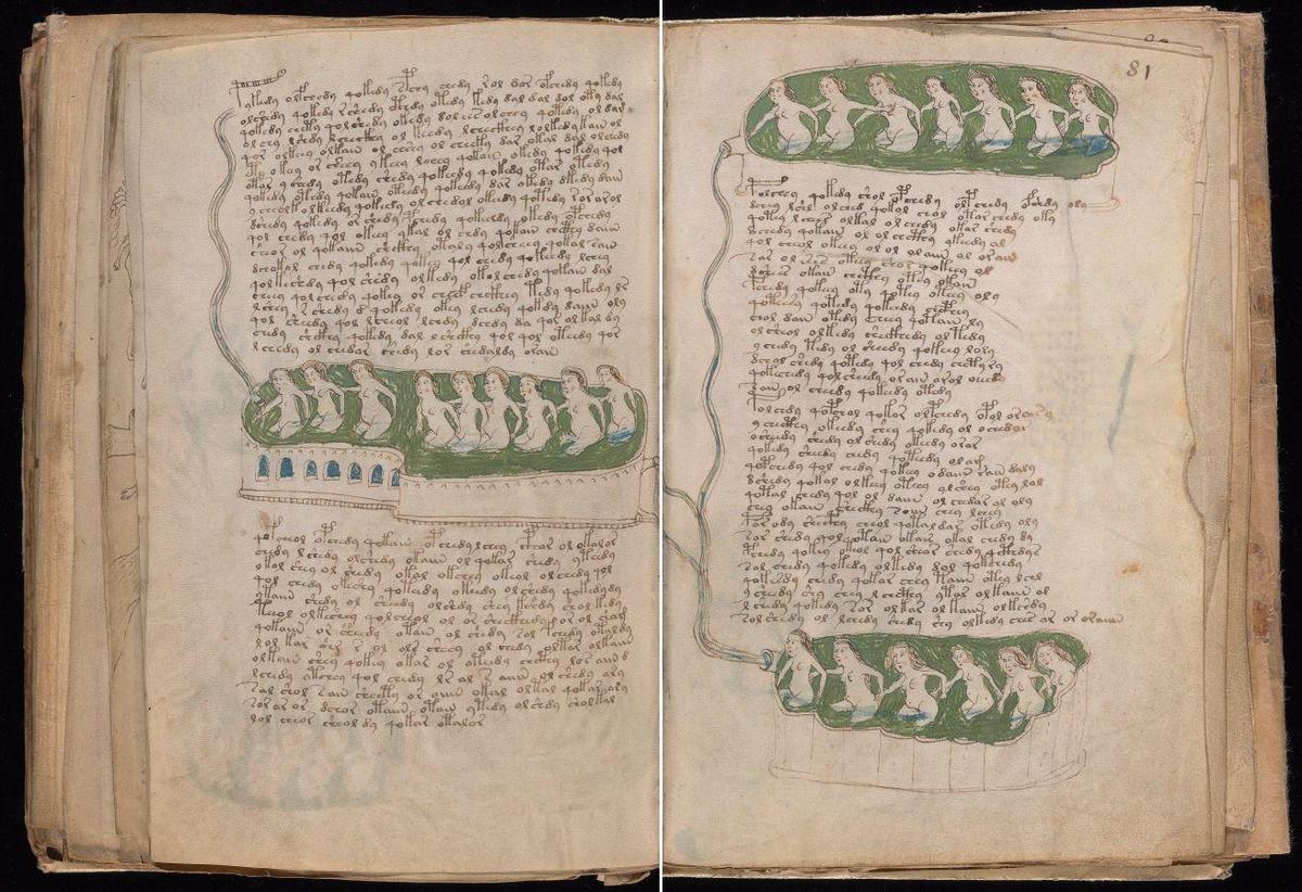 Voynich78v81r nebeneinander