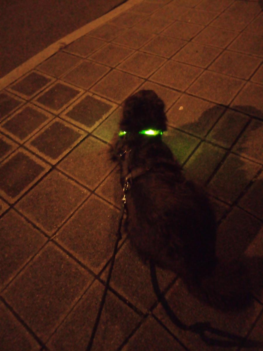 IMG 20211016 213053