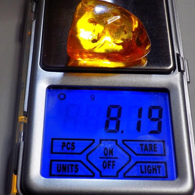  KK 1557