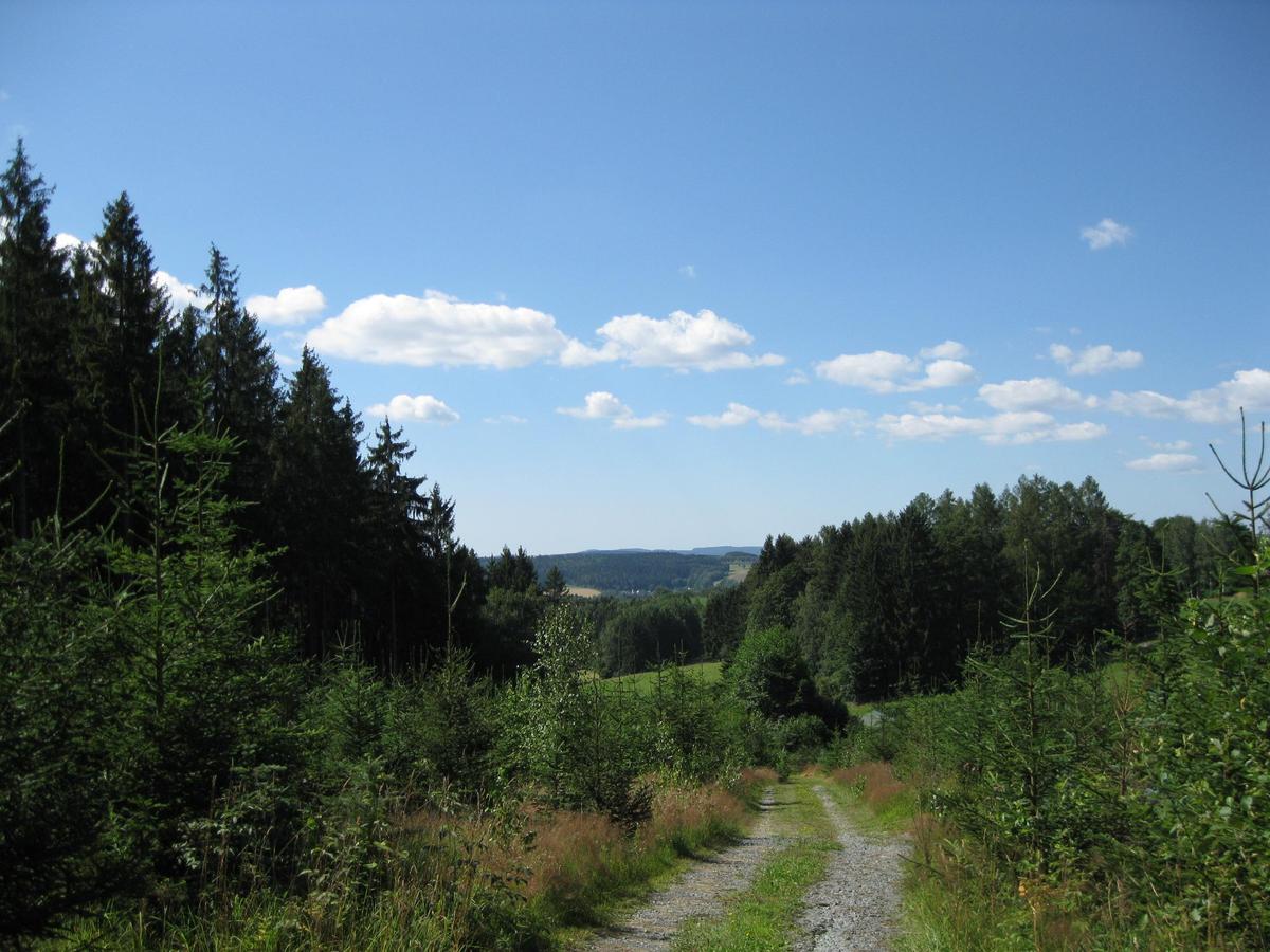 IMG 0099