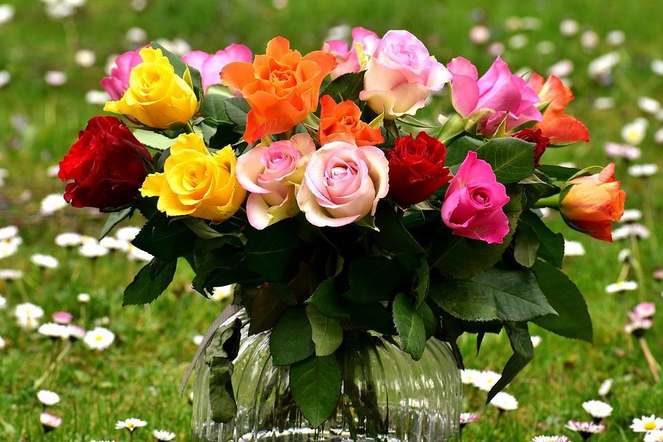 roses-2230459 960 720