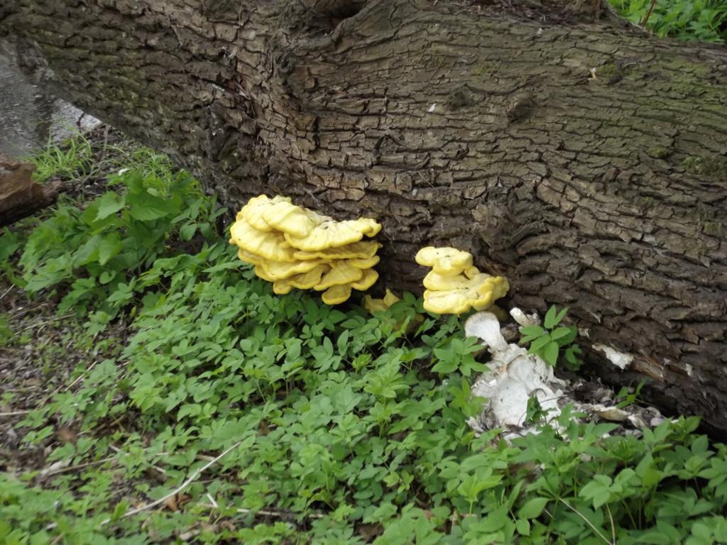 DSCF0407-1 zps945ab804