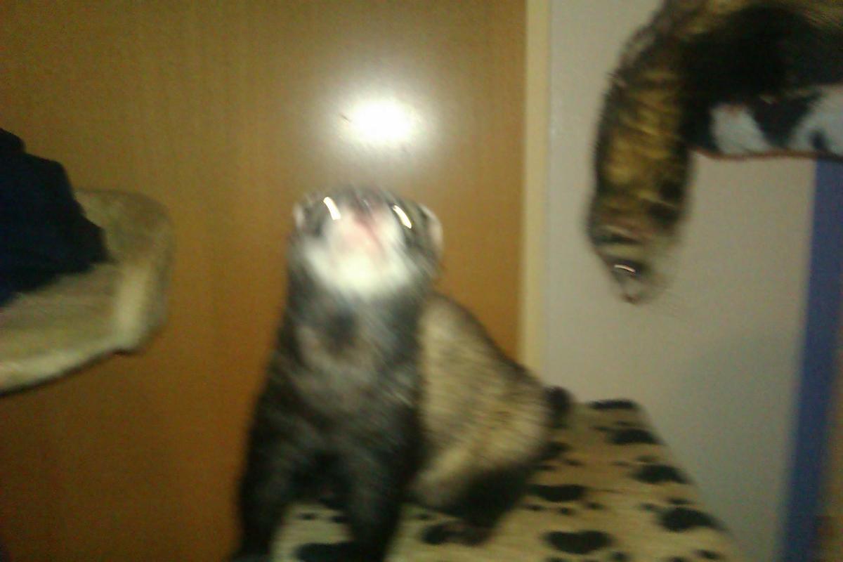 b9c2af IMAG0199