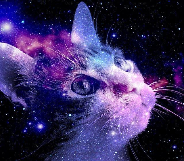 a see space of purple by kkpaw-d496c79