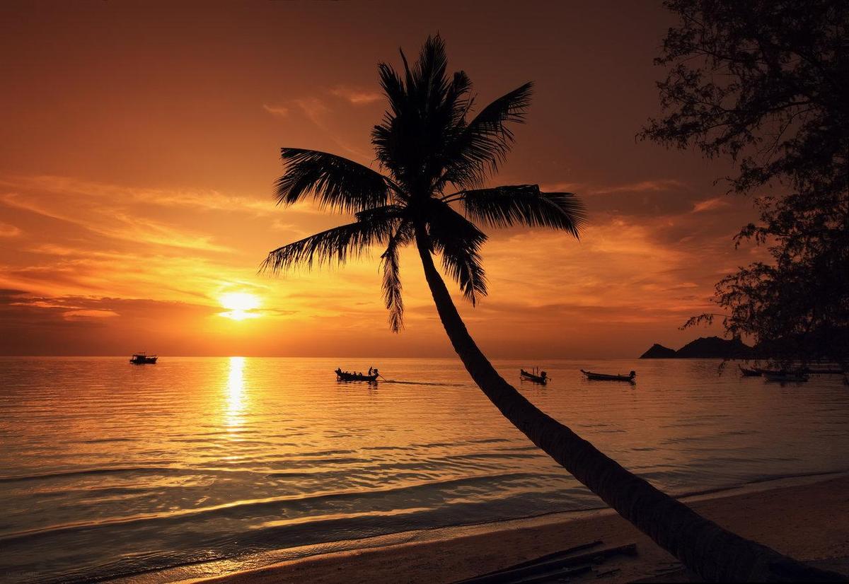 club 26 sunshine reggae by vint26 d5sqz1