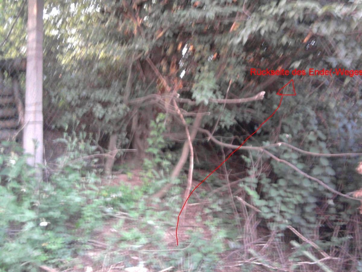 0e8885 Foto0058