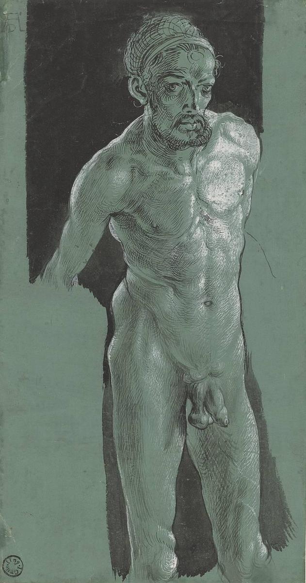 albrecht duerer selbstbildnis als akt um