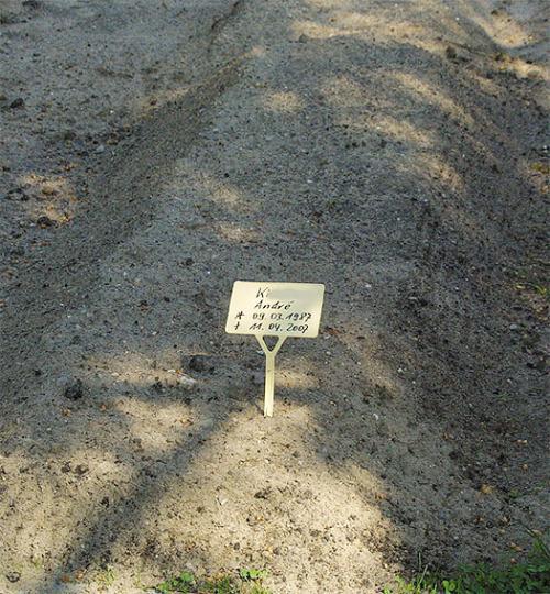 186459