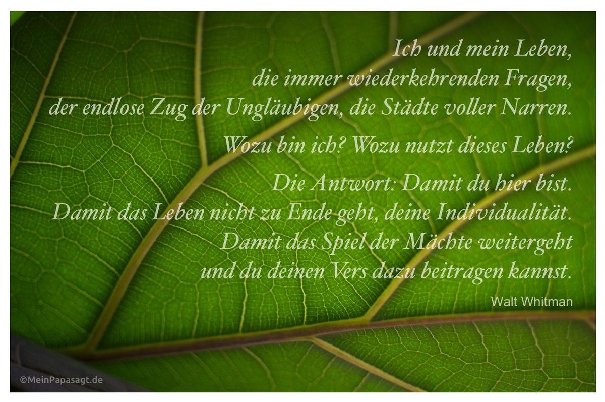 ich-und-mein-leben-mein-papa-sagt-weishe