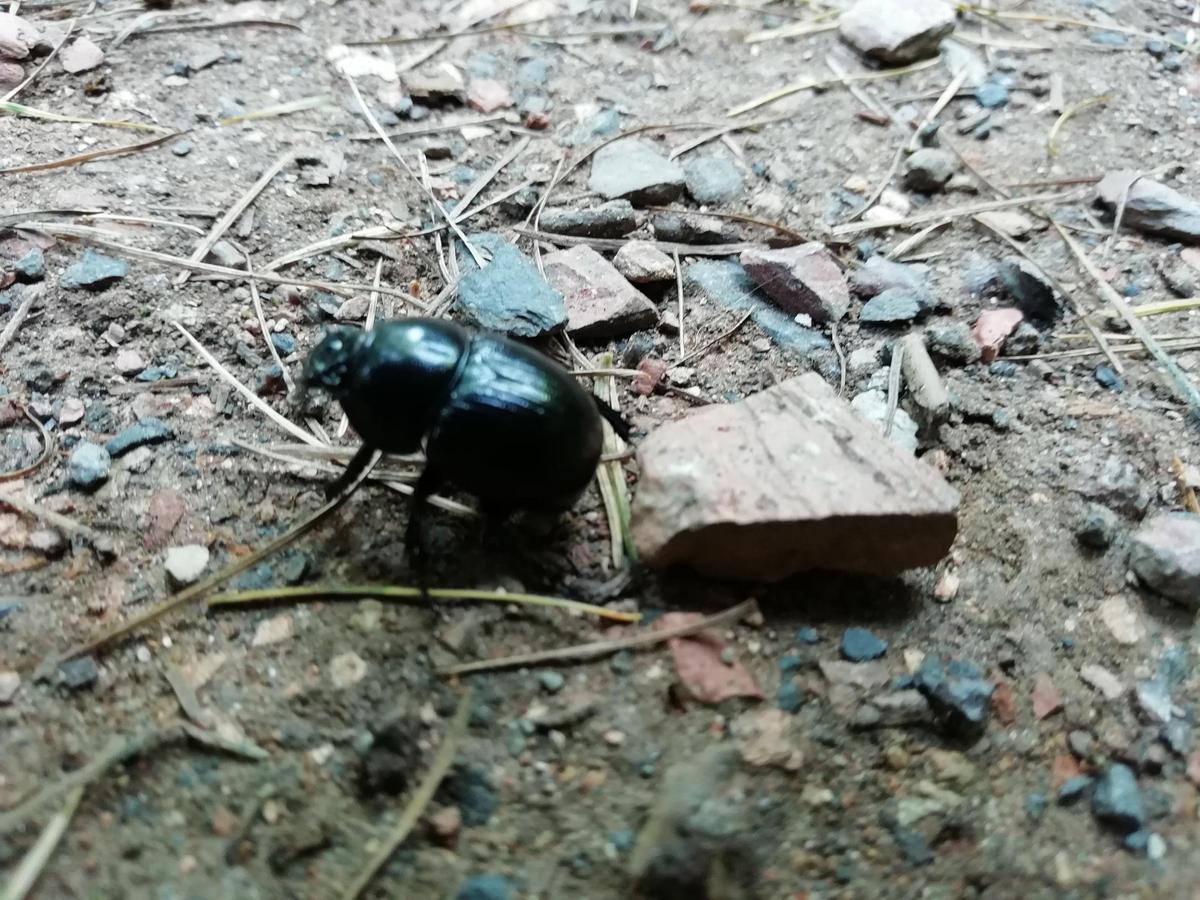up e7cbc06a3480fcef IMG 20190920 155817