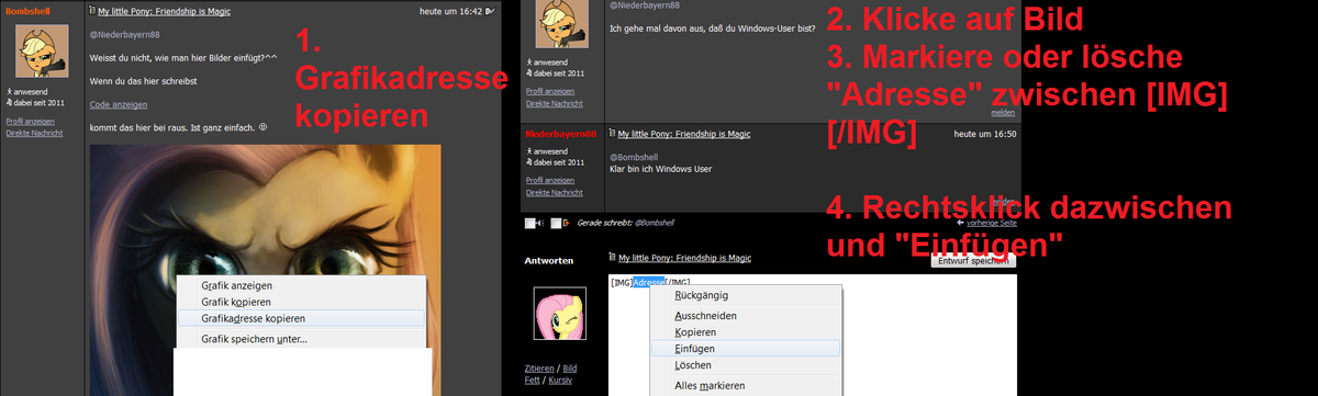 54d544 so geht das mit bildern