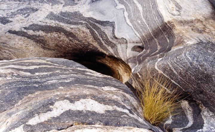 2-Gneiss-Plus-Grass