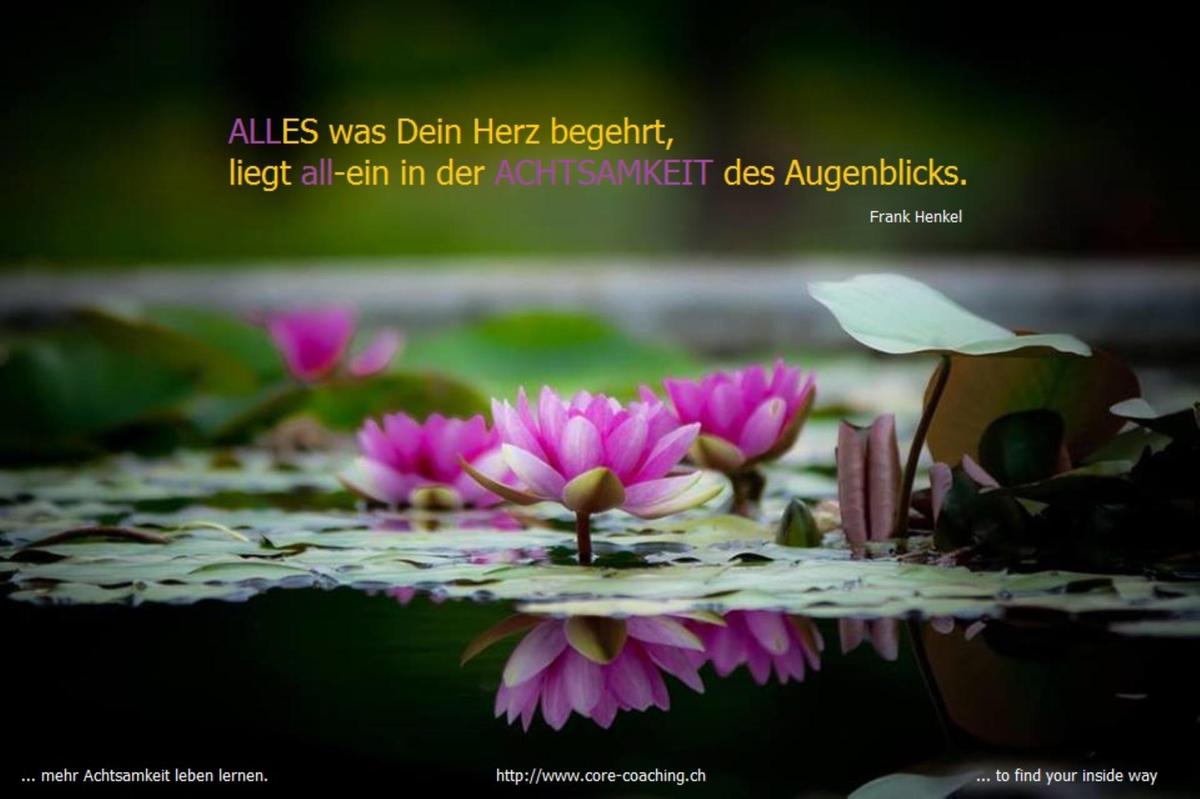achtsamkeit-des-augenblicks2