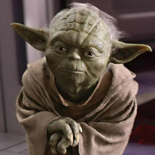 13 Yoda