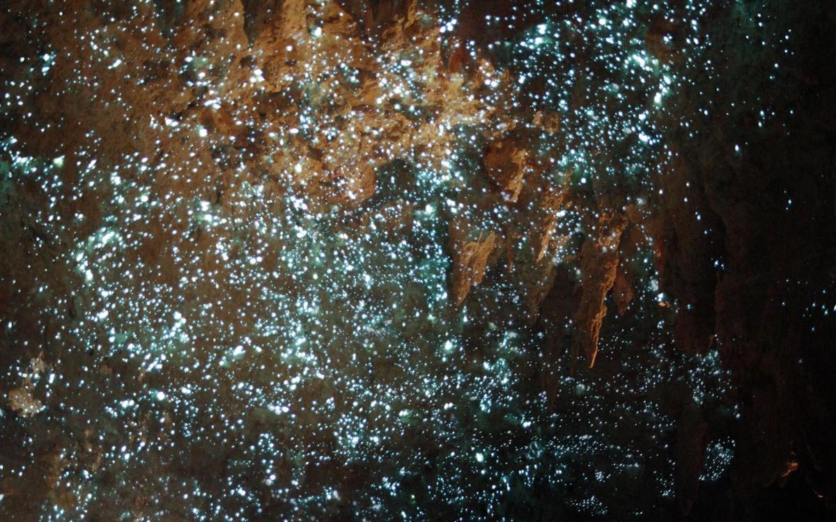 glowworms-cave2