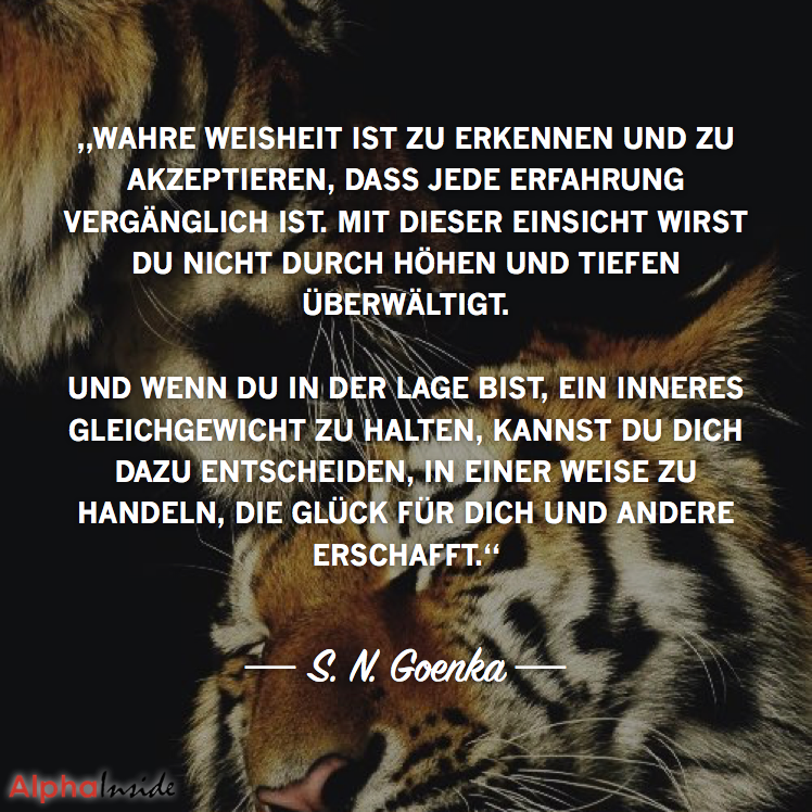 492 zitat