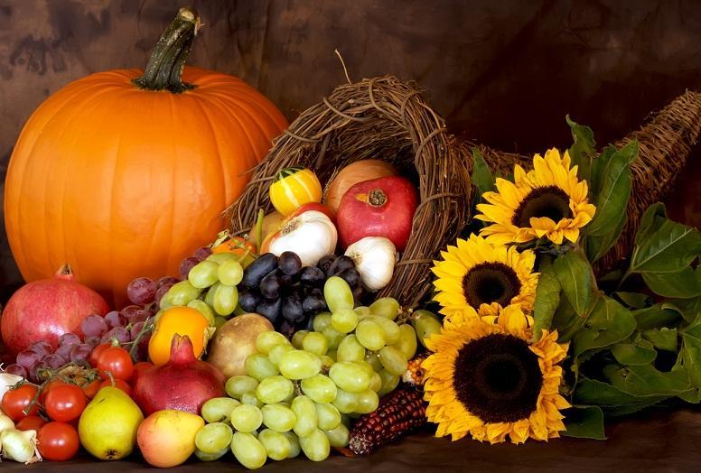 erntedank-thanksgiving