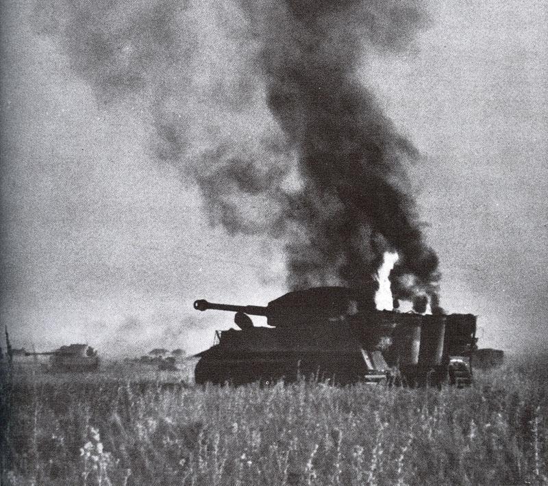 Tiger-burning-px800