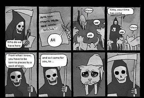tumblr m4rsl6z6Pi1qii7qjo1 500