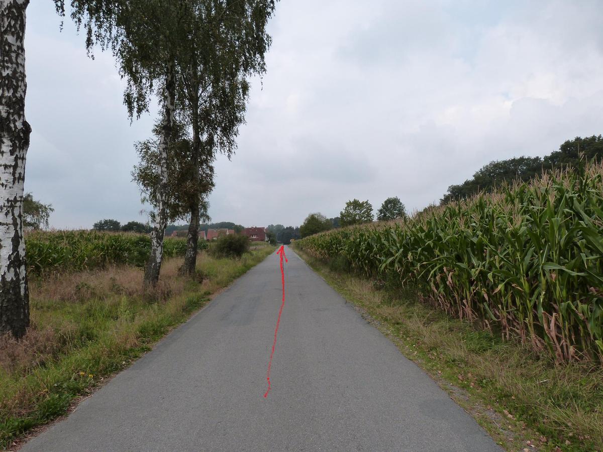554946 P1050446
