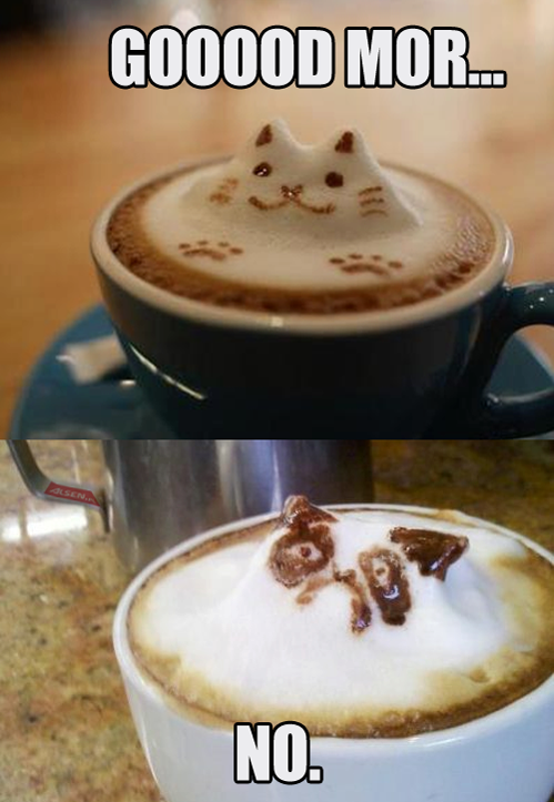 grumpy-cat-good-morning