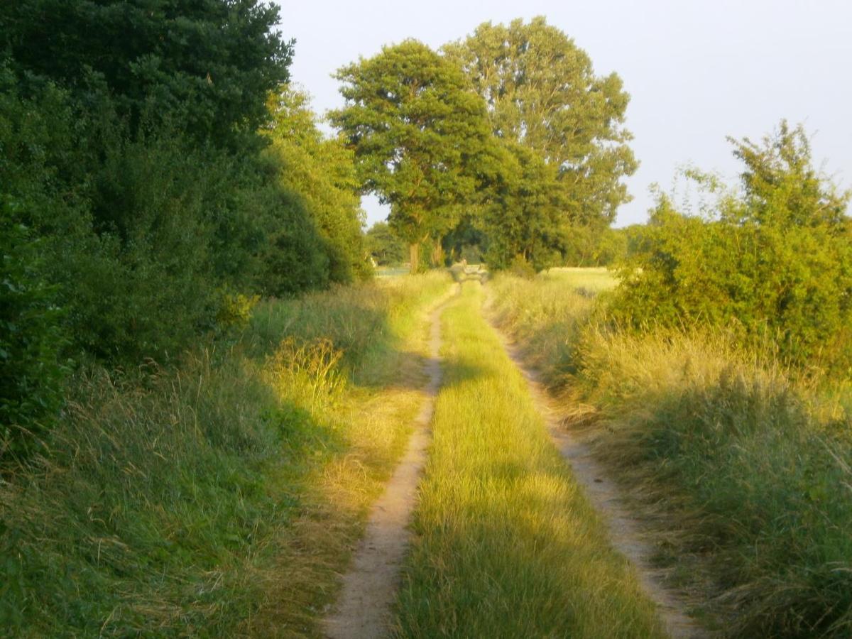 P6040027