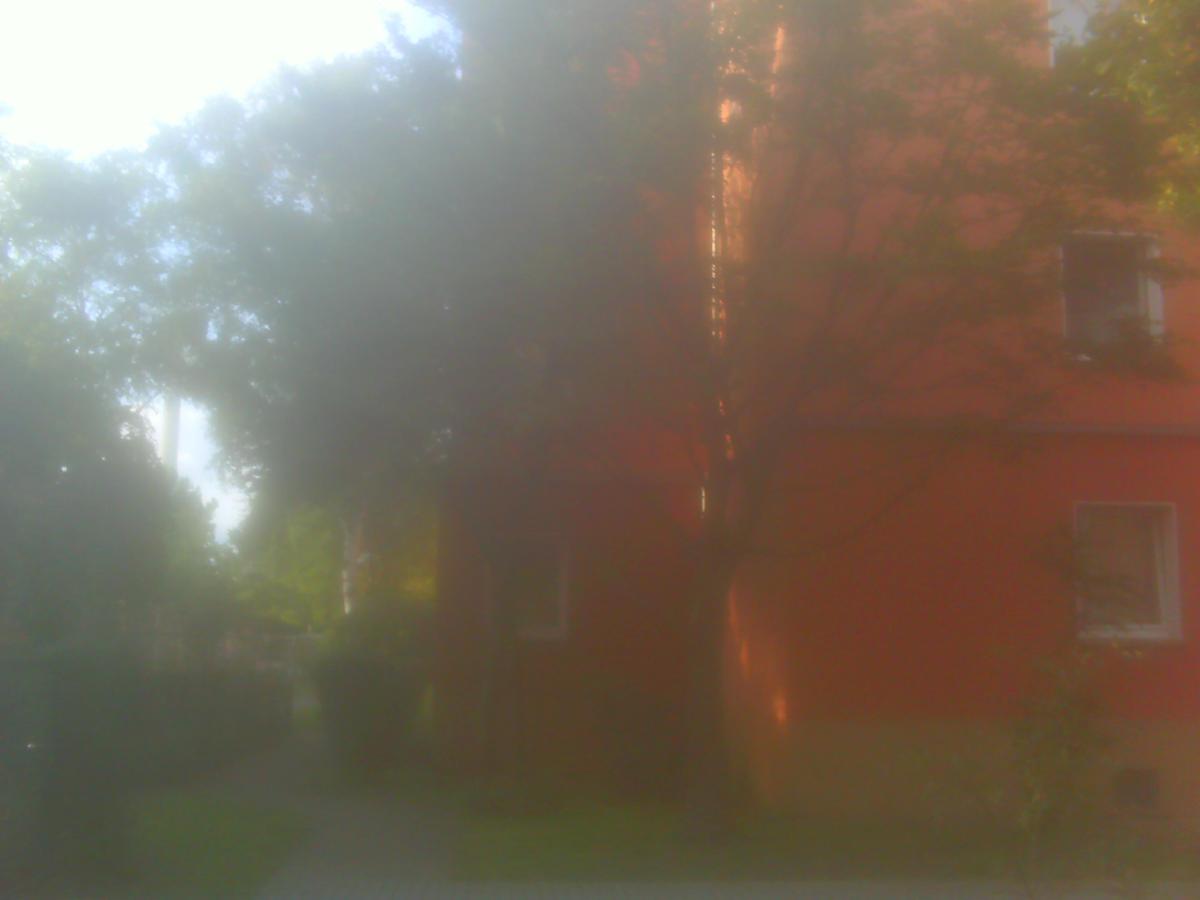 bild0625dvpxin7a51