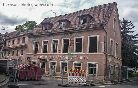 Goldener-LC3B6we-Kitzingen-Tauber
