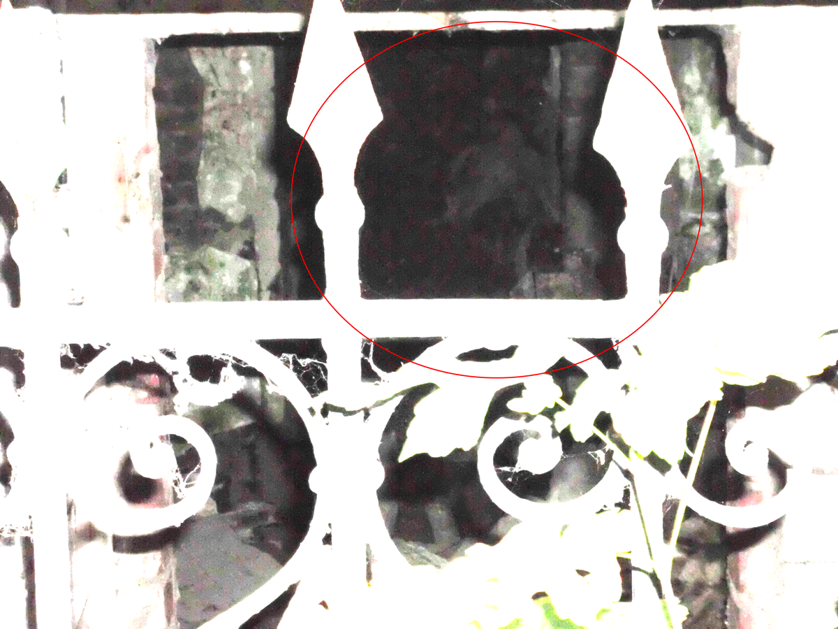 88804a tc0b6c9 92c034 DSCI0744 bearb