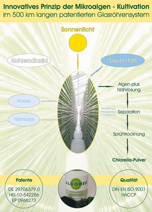 glasroehrensystem