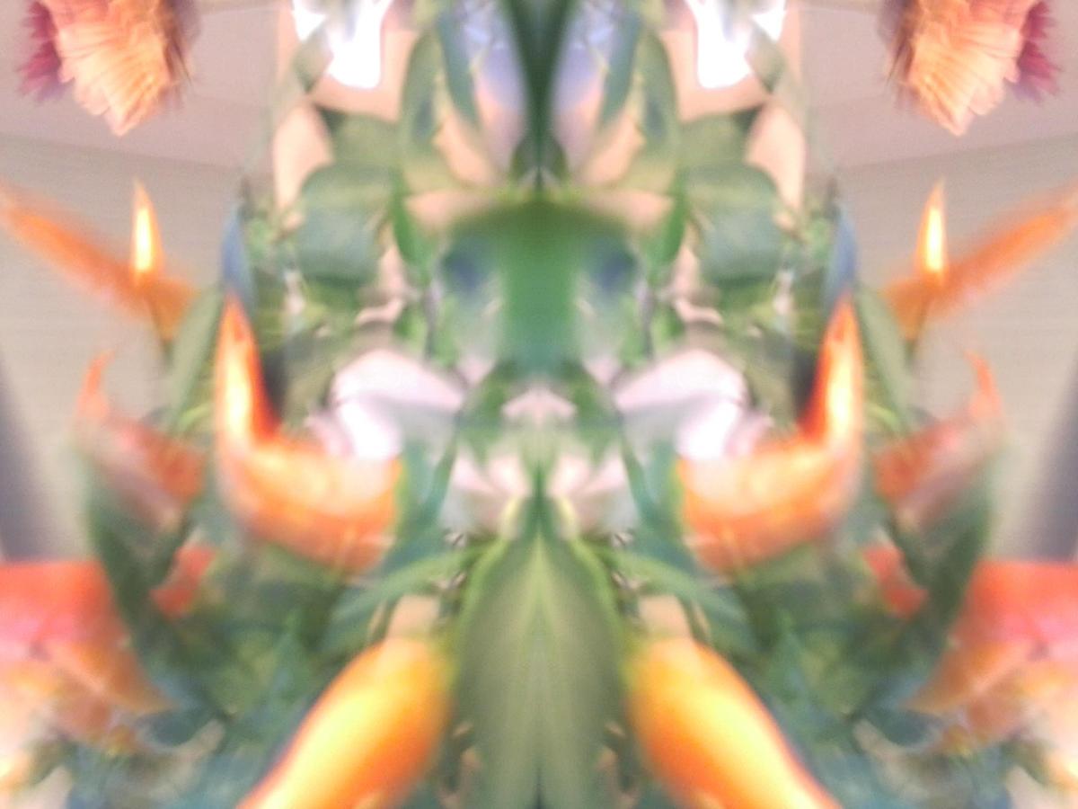 6d45e1 Foto0849W