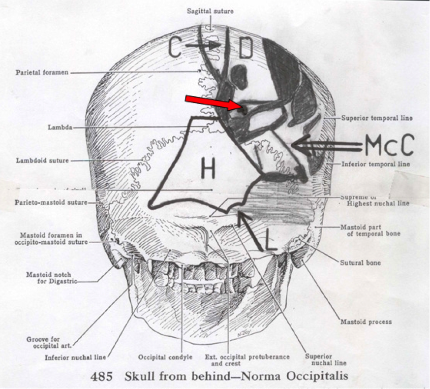 fig7a