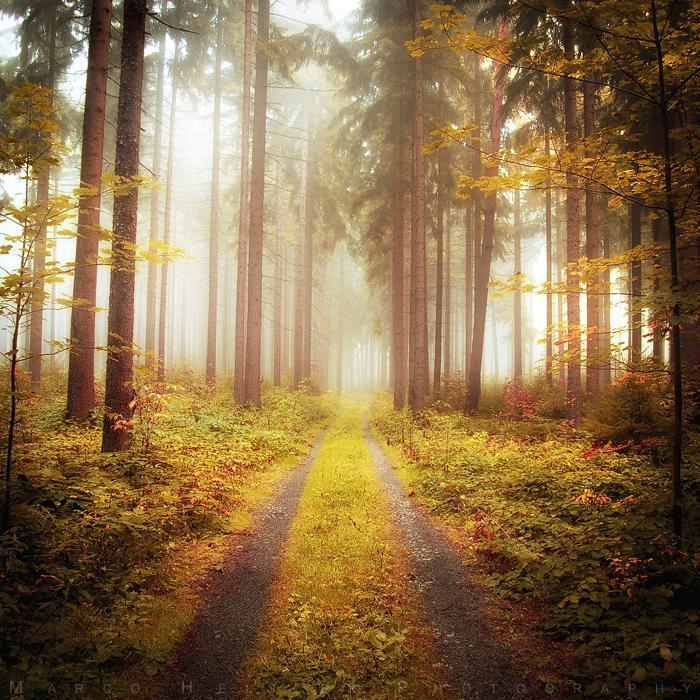 autumn poetry kl by marcoheisler-d80tj7e