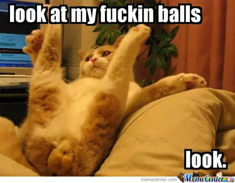 look at my fuckin balls o 219178.webp.jpg