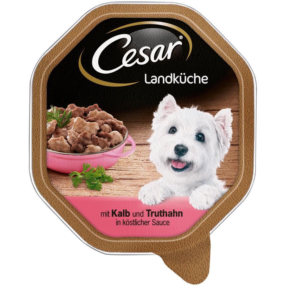 cesar-landkueche-mini-filets-in-sauce-hu