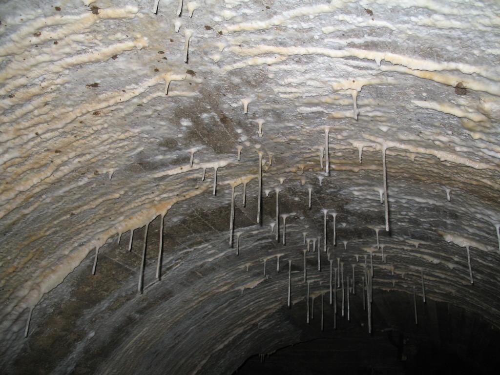 017 Decke mit Stalaktiten im Antenbergbu