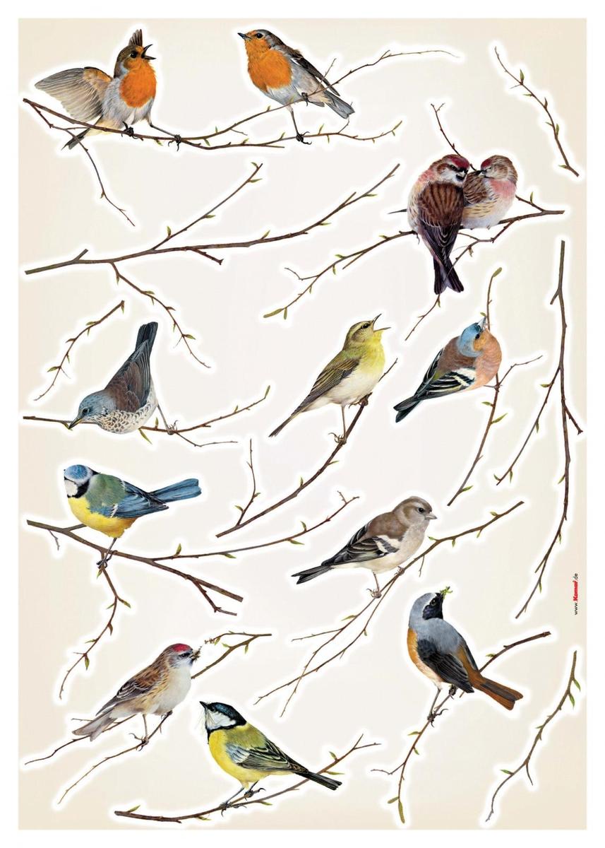 1-9005-vogel