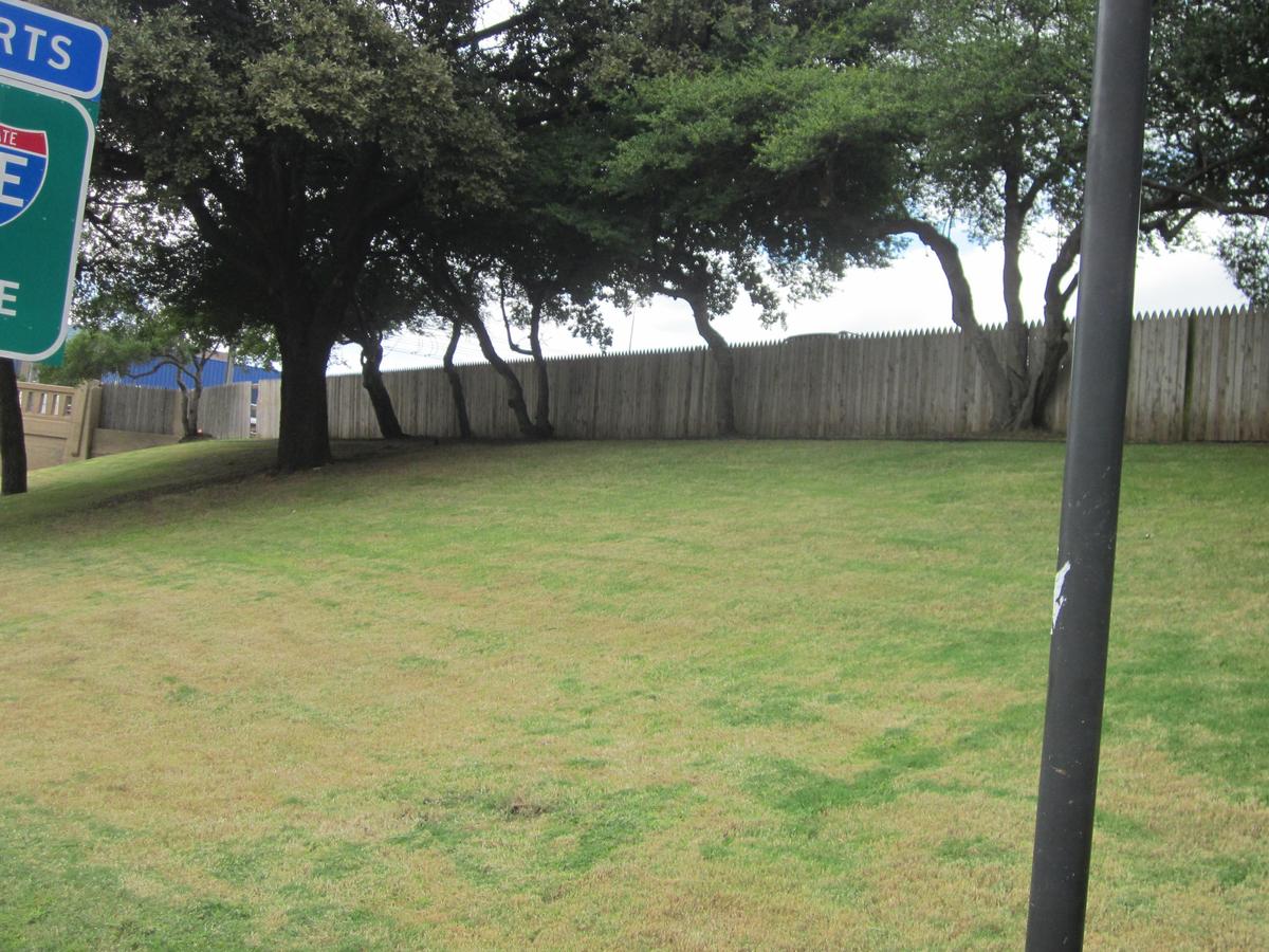 Grassy-Knoll