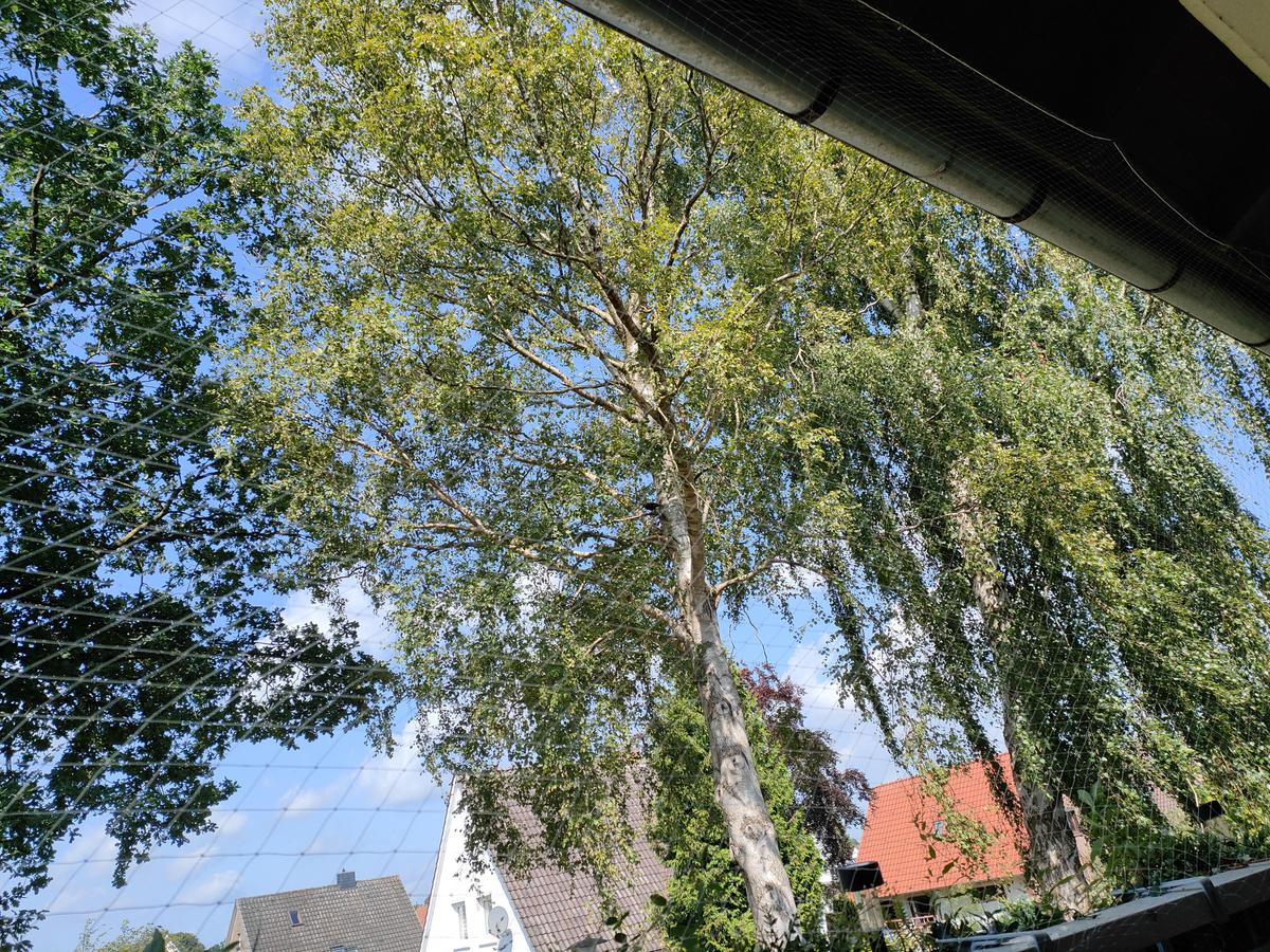IMG20240810114808