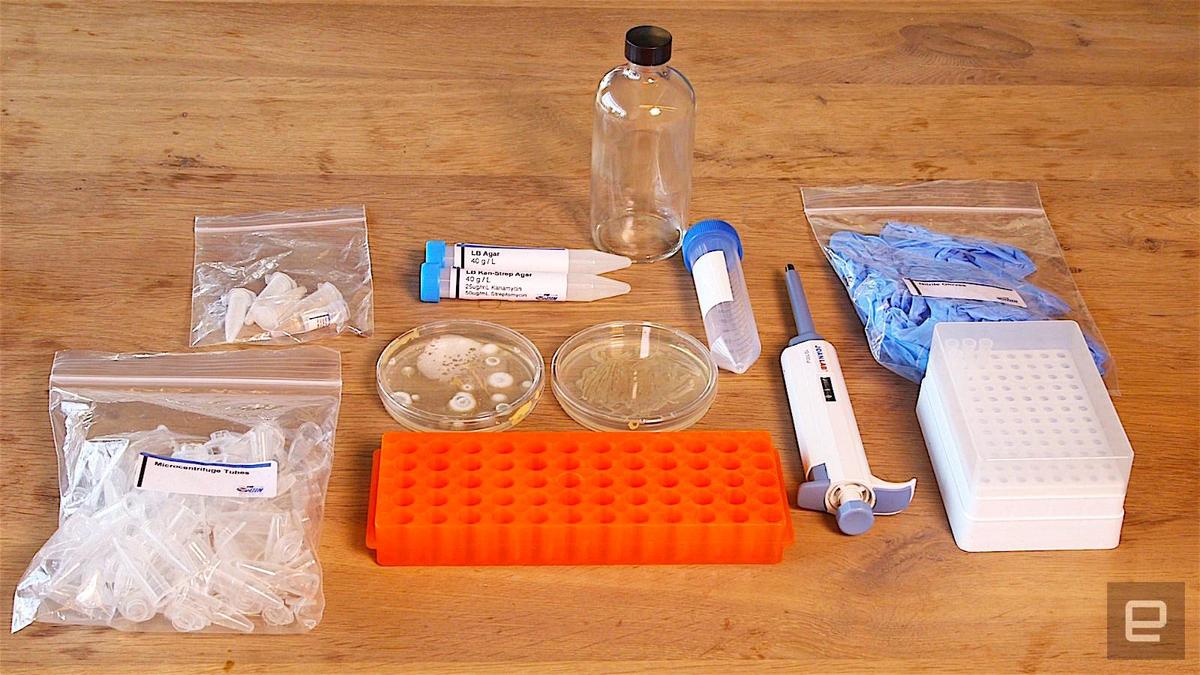 crispr kit2Bresize-ed