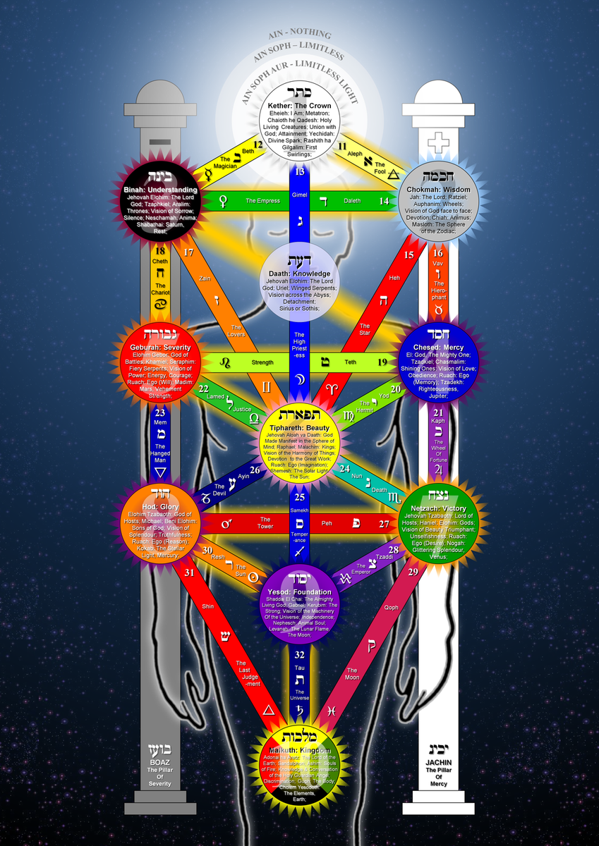 1200px-Tree of Life 2009 large