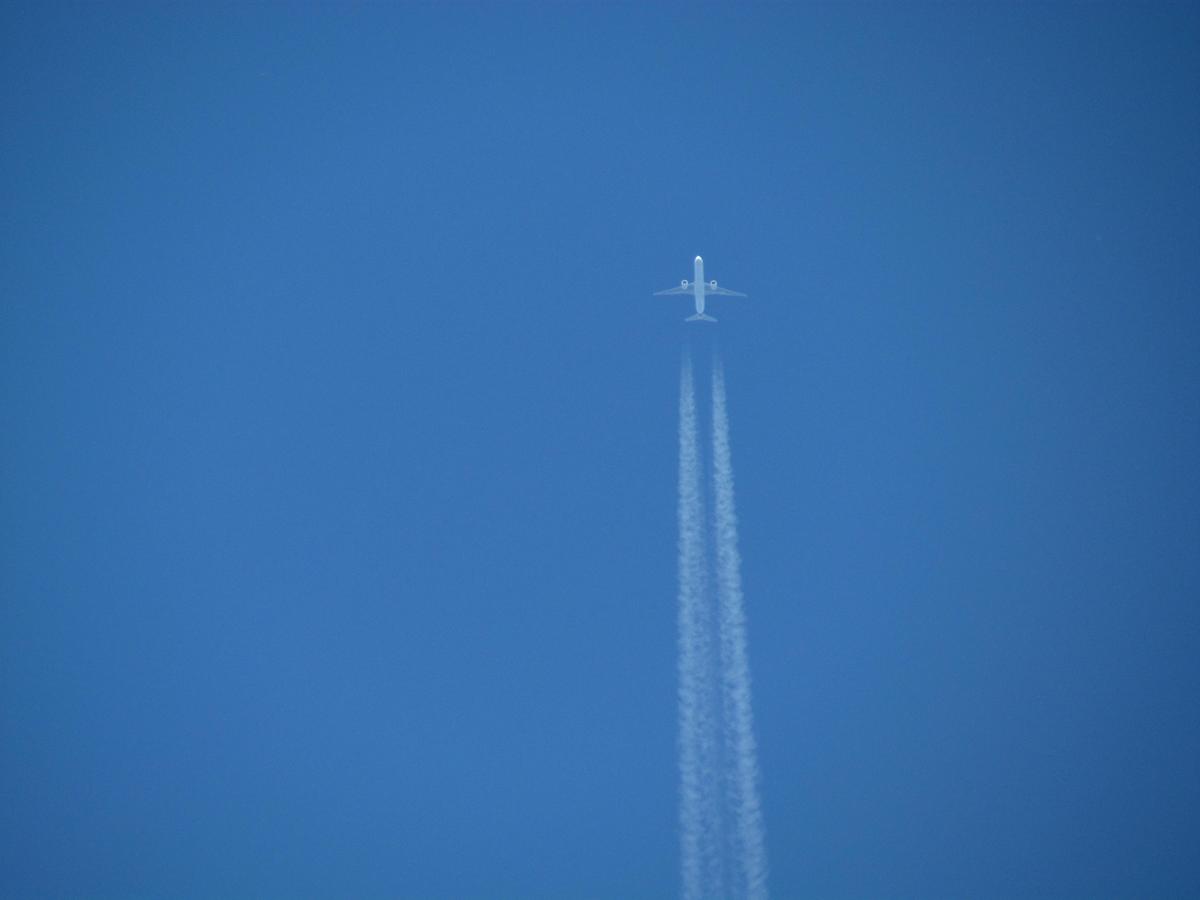4e5bd1 IMG 3440